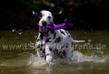 02 Wasseraction